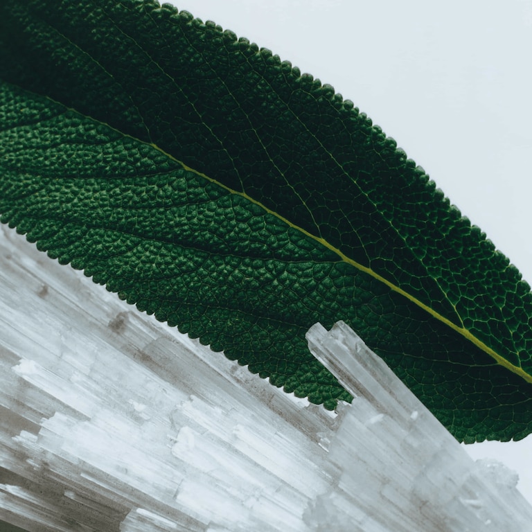 Wood Sage & Sea Salt Body & Hand Wash, 100.0 ml, Alt