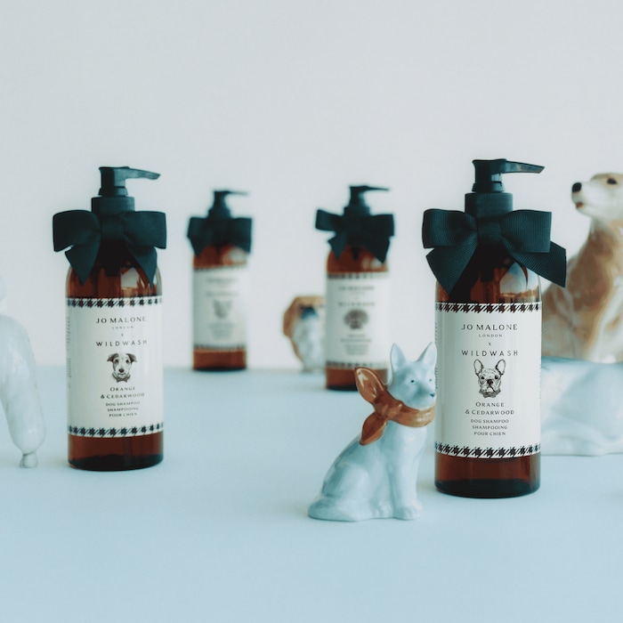 Shampooing pour chien Orange & Cedarwood – Édition WildWash, 285.0 ml, Alt