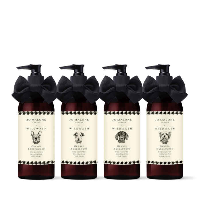 Shampooing pour chien Orange & Cedarwood – Édition WildWash, 285.0 ml, Product Shot