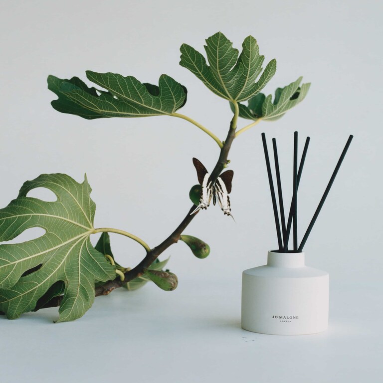 Fresh Fig & Cassis Ceramic Diffuser, 350.0 ml, Alt