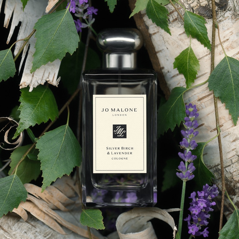 Silver Birch & Lavender Cologne, 30.0 ml, Alt
