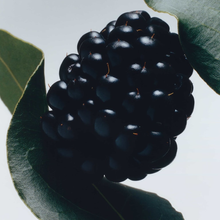 Blackberry & Bay Diffuseur à Bâtonnets, 165.0 ml, Alt