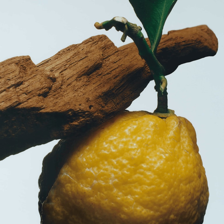 Oud & Bergamot Cologne Intense, 50.0 ml, Alt