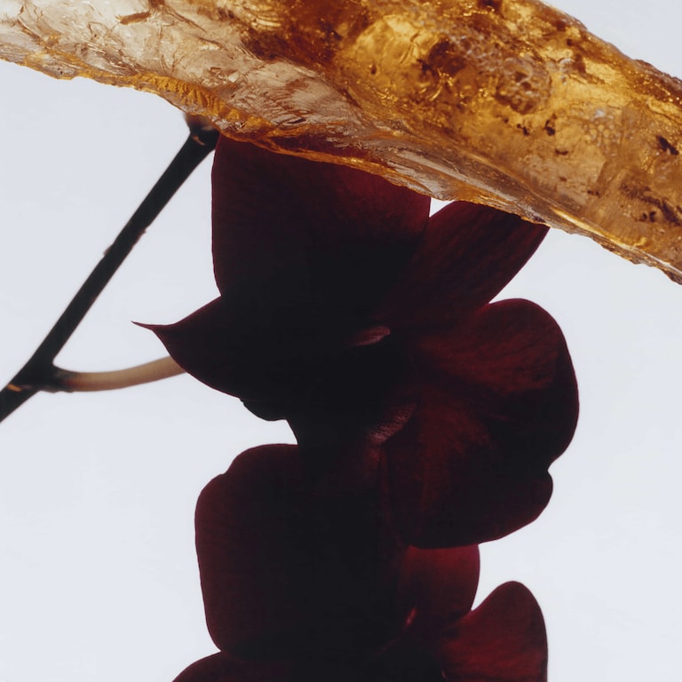 Dark Amber & Ginger Lily Cologne Intense, 50.0 ml, Alt