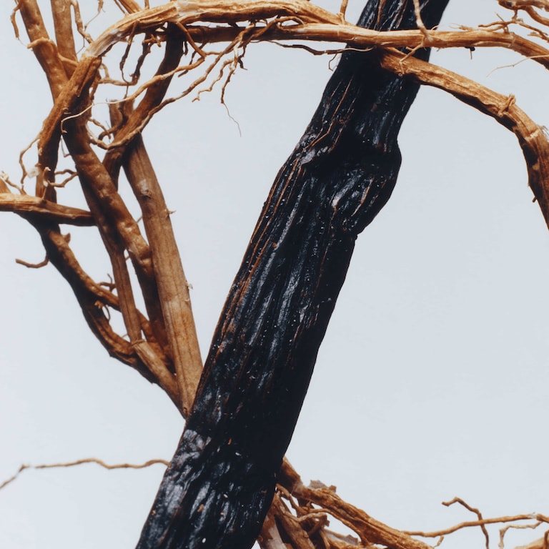 Vetiver & Golden Vanilla Cologne Intense, 50.0 ml, Alt