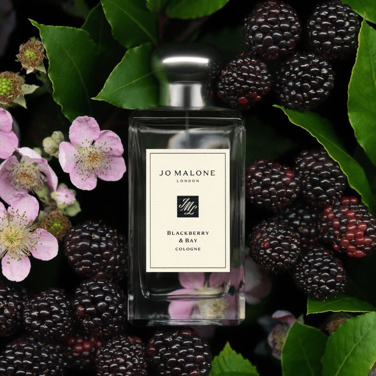 Blackberry & Bay Cologne, 9.0 ml, Alt
