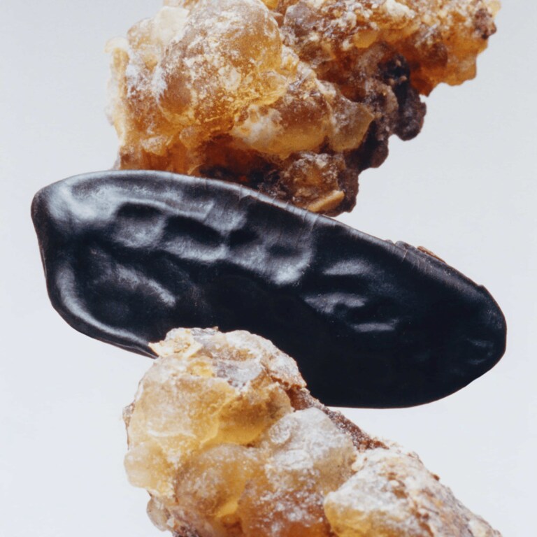 Myrrh & Tonka Scented Candle, 65.0 g, Alt