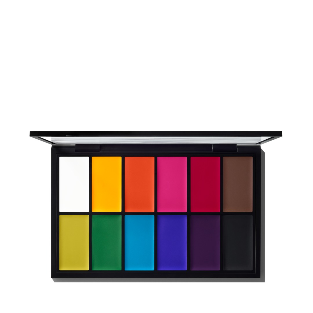 Pro Palette Paintstick x 12