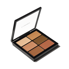 Pro Eye Palette: The Social Climber