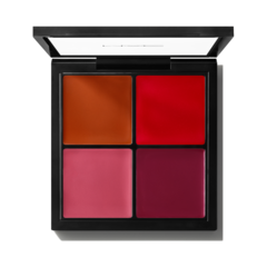 Pro Face Palette: Blush