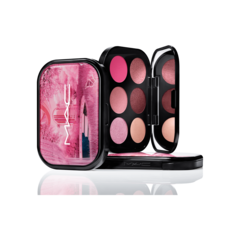 Connect In Colour Eye Shadow Palette: Rose Lens