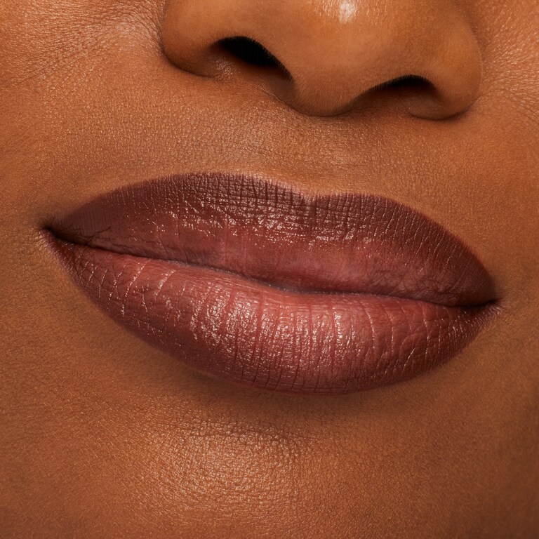 Lip Pencil / Metamorphosis Collection, 1.45 g, Chestnut, Model, deep