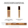 Shade and Illuminate Concealer, Spice, 6W1, 5.4ml